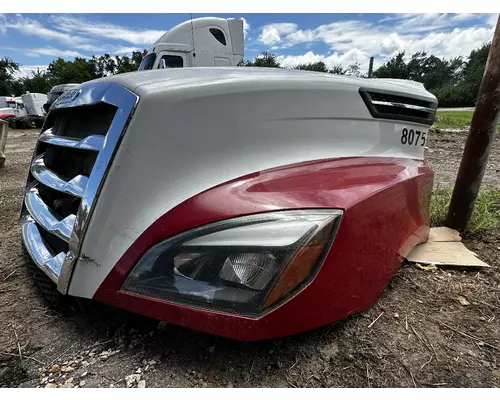 FREIGHTLINER Cascadia 126 Hood