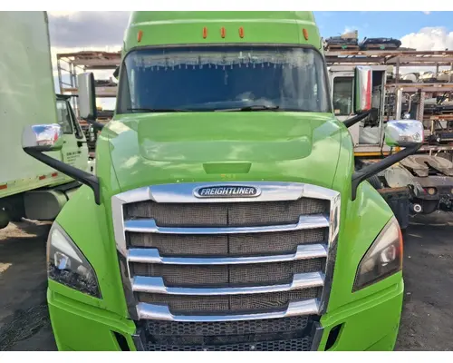 FREIGHTLINER Cascadia 126 Hood