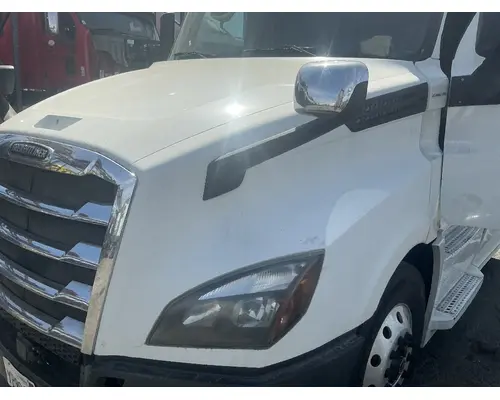 FREIGHTLINER Cascadia 126 Hood
