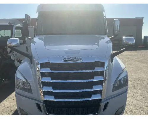 FREIGHTLINER Cascadia 126 Hood