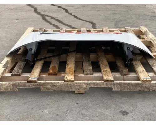 FREIGHTLINER Cascadia 126 Roof Assembly