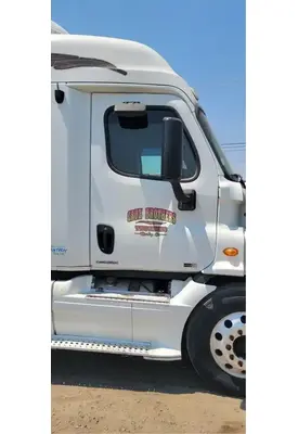 FREIGHTLINER Cascadia 132 Door Assembly, Front