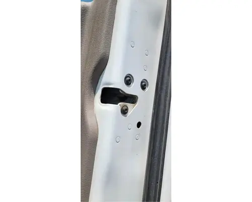 FREIGHTLINER Cascadia 132 Door Assembly, Front