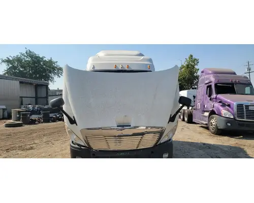 FREIGHTLINER Cascadia 132 Hood