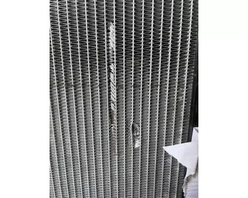 FREIGHTLINER Cascadia PX Radiator