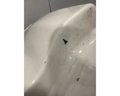 FREIGHTLINER Cascadia Cowl Panel