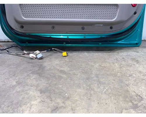 FREIGHTLINER Cascadia Door Assembly, Front