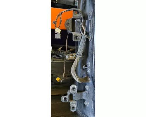 FREIGHTLINER Cascadia Door Assembly, Front