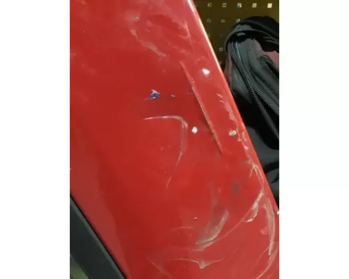 FREIGHTLINER Cascadia Door Assembly, Front