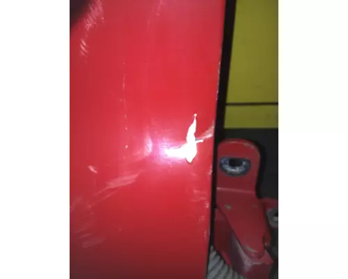 FREIGHTLINER Cascadia Door Assembly, Front