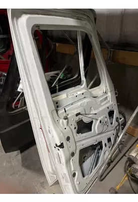 FREIGHTLINER Cascadia Door Assembly, Front
