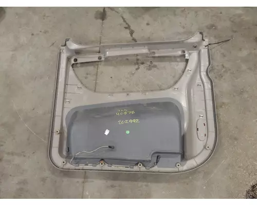 FREIGHTLINER Cascadia Door Panel (Trim)