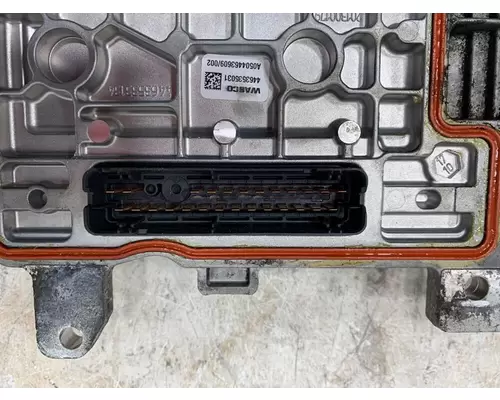FREIGHTLINER Cascadia ECM (Transmission)