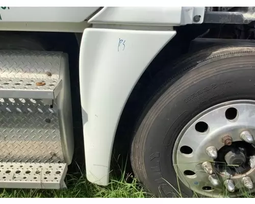 FREIGHTLINER Cascadia Fender Extension