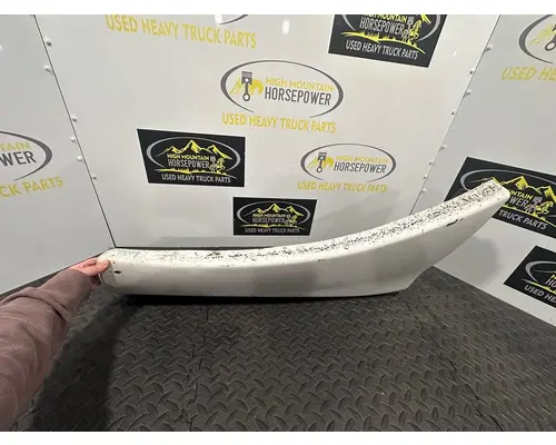 FREIGHTLINER Cascadia Fender