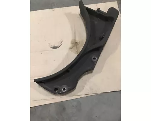 FREIGHTLINER Cascadia Fuel Tank StrapHanger