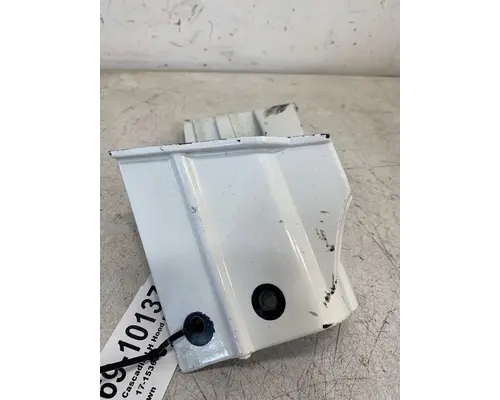 FREIGHTLINER Cascadia Hood Hinge