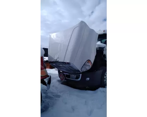 FREIGHTLINER Cascadia Hood