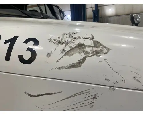 FREIGHTLINER Cascadia Hood