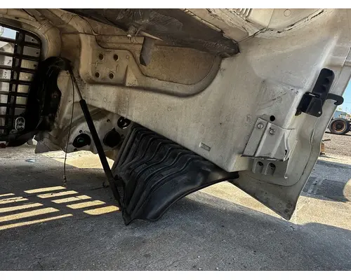 FREIGHTLINER Cascadia Hood