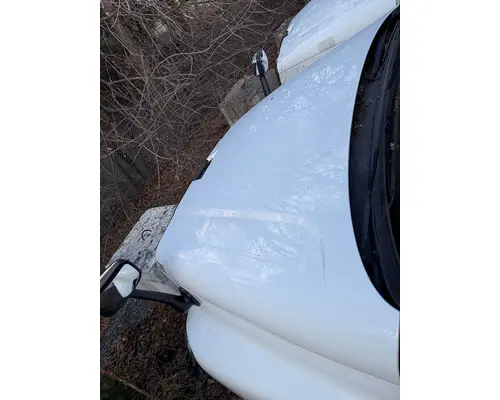 FREIGHTLINER Cascadia Hood