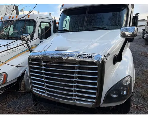 FREIGHTLINER Cascadia Hood