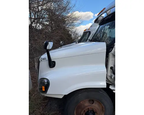 FREIGHTLINER Cascadia Hood