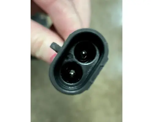 FREIGHTLINER Cascadia Horn