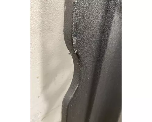 FREIGHTLINER Cascadia Interior Trim Panel