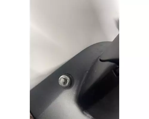 FREIGHTLINER Cascadia Mirror (Side View)