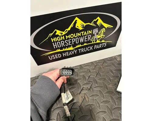 FREIGHTLINER Cascadia Mirror (Side View)