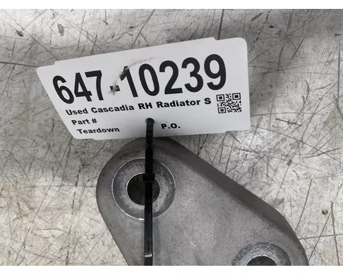 FREIGHTLINER Cascadia Radiator Core Support