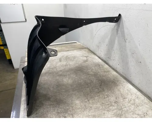 FREIGHTLINER Columbia Fender Extension