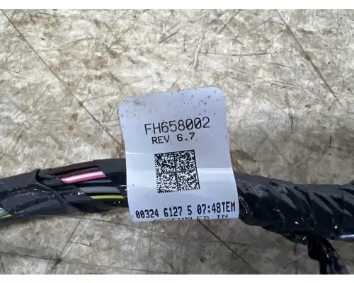 FREIGHTLINER FH658002 Wiring Harness