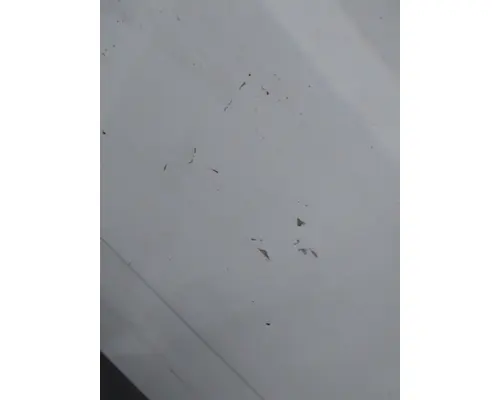 FREIGHTLINER FL80 1991-2005 DOOR ASSEMBLY, FRONT