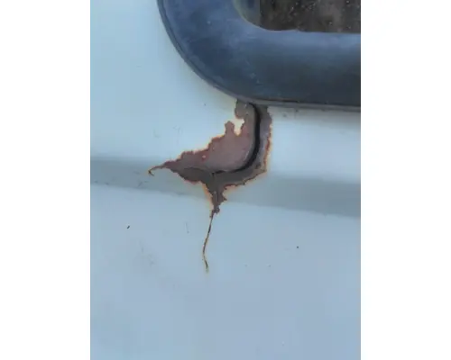 FREIGHTLINER FLC112 DOOR ASSEMBLY, FRONT