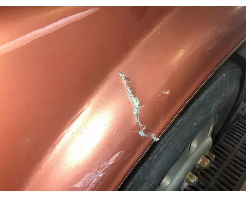 FREIGHTLINER FLC Hood