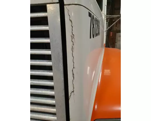 FREIGHTLINER FLD120 1989-2003 HOOD