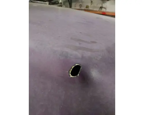 FREIGHTLINER FLD120 CLASSIC 1989-2010 HOOD