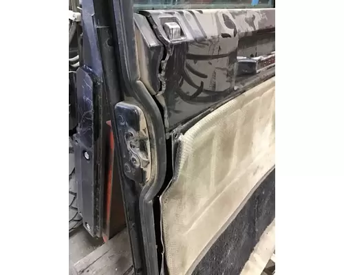 FREIGHTLINER FLD120 CLASSIC DOOR ASSEMBLY, FRONT