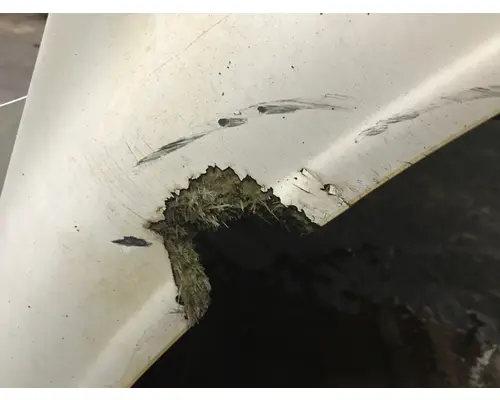 FREIGHTLINER FLD120 Hood