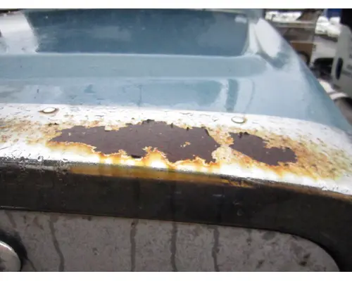 FREIGHTLINER FLD132 CLASSIC XL 1997-2010 HOOD