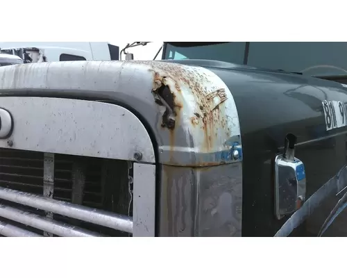 FREIGHTLINER FLD132 CLASSIC XL 1997-2010 HOOD