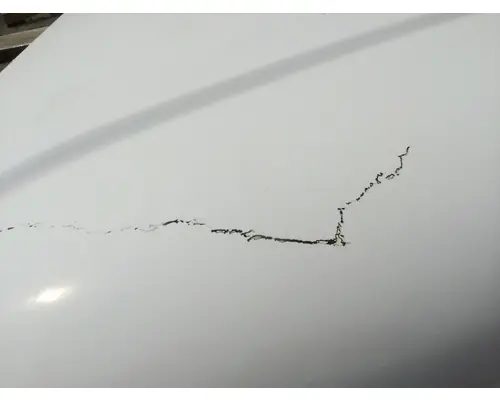 FREIGHTLINER M-2 106 HOOD