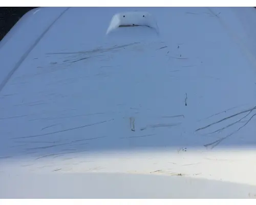 FREIGHTLINER M-2 112 HOOD