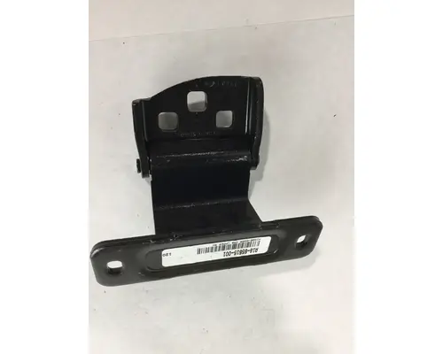 FREIGHTLINER M-2 DOOR HINGE