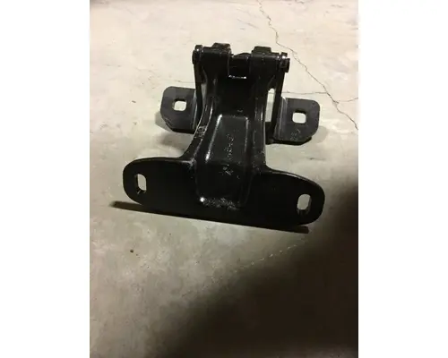 FREIGHTLINER M-2 DOOR HINGE