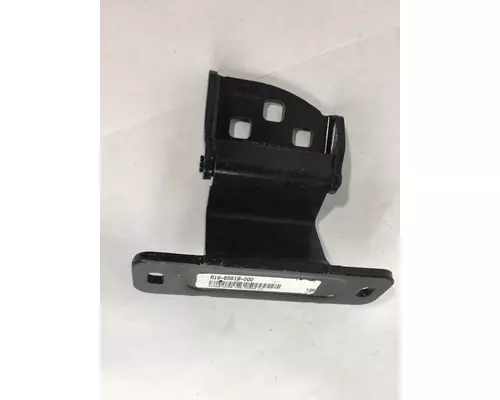 FREIGHTLINER M-2 Door Hinge, Front