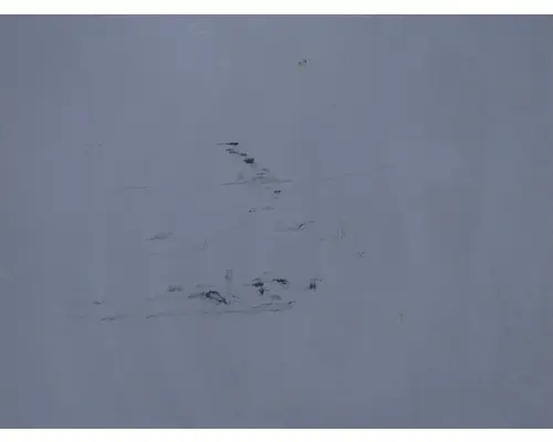 FREIGHTLINER M2 100 HOOD