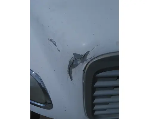 FREIGHTLINER M2 100 HOOD